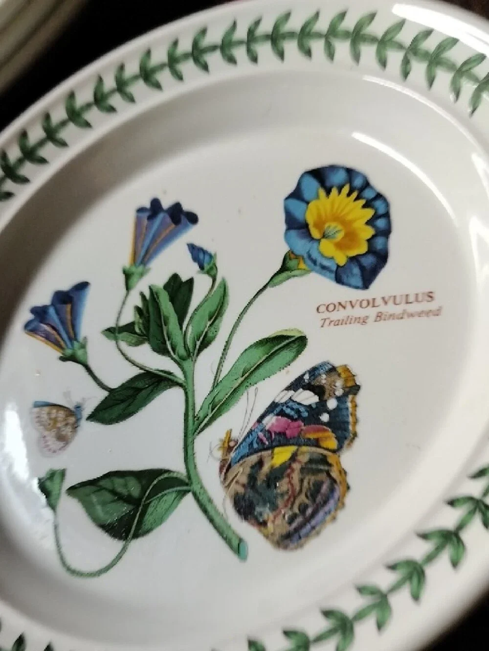 Port Meirion Botanical Convolvulus Floral Small Plate,7 Inch